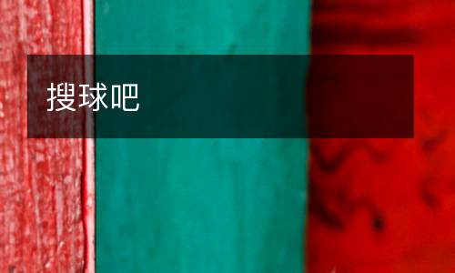 搜球吧